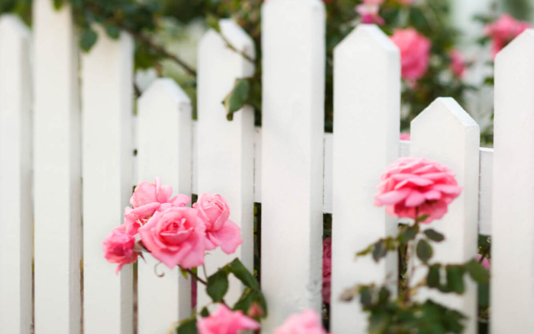 The White Picket Fence