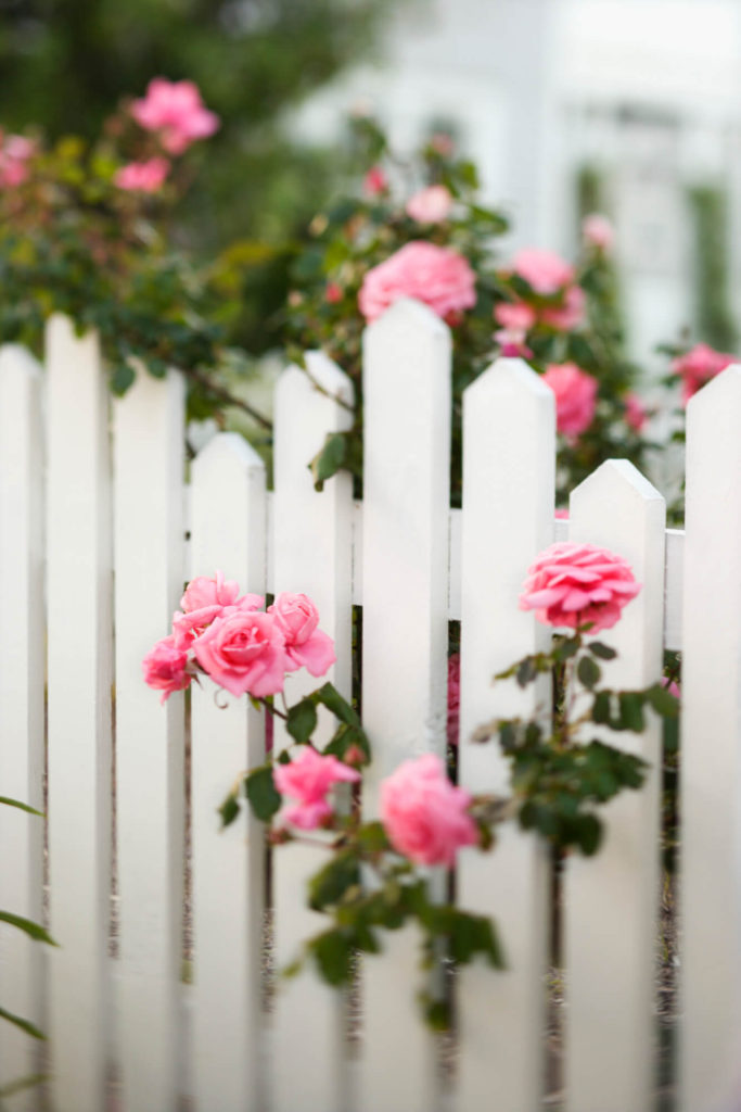 white picket fence